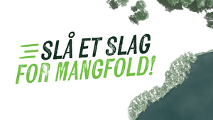 Mangfold - 1600x900 (Hjemmesider/Facebook)
